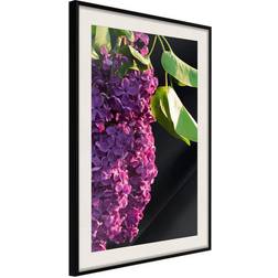 Arkiio Affisch Colours of Spring [Poster] 20x30 Poster